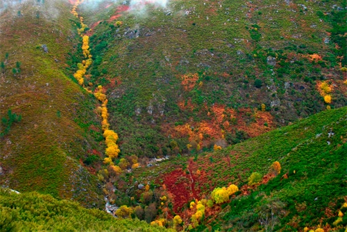 Parque Natural Baixa Limia do Xures