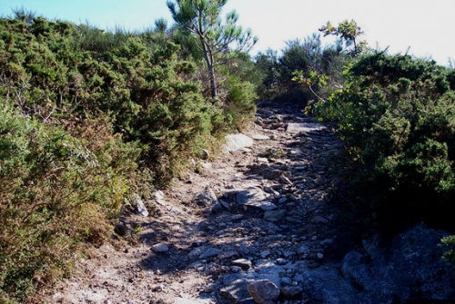 Castro de A Cidá