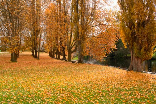 Reserva de la Biosfera Área de Allariz