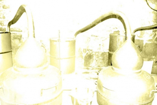 Licor de Hierbas de Galicia