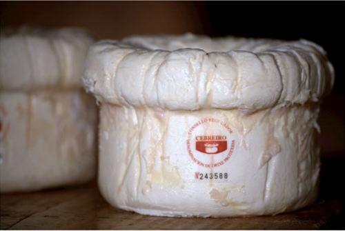 Queso do Cebreiro