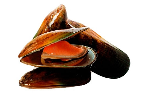 Mejillón de Galicia.