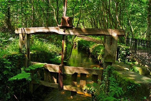 Monumento Natural Souto da Retorta