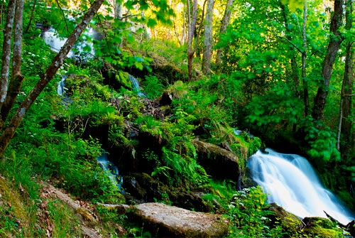 Monumento Natural Souto da Retorta
